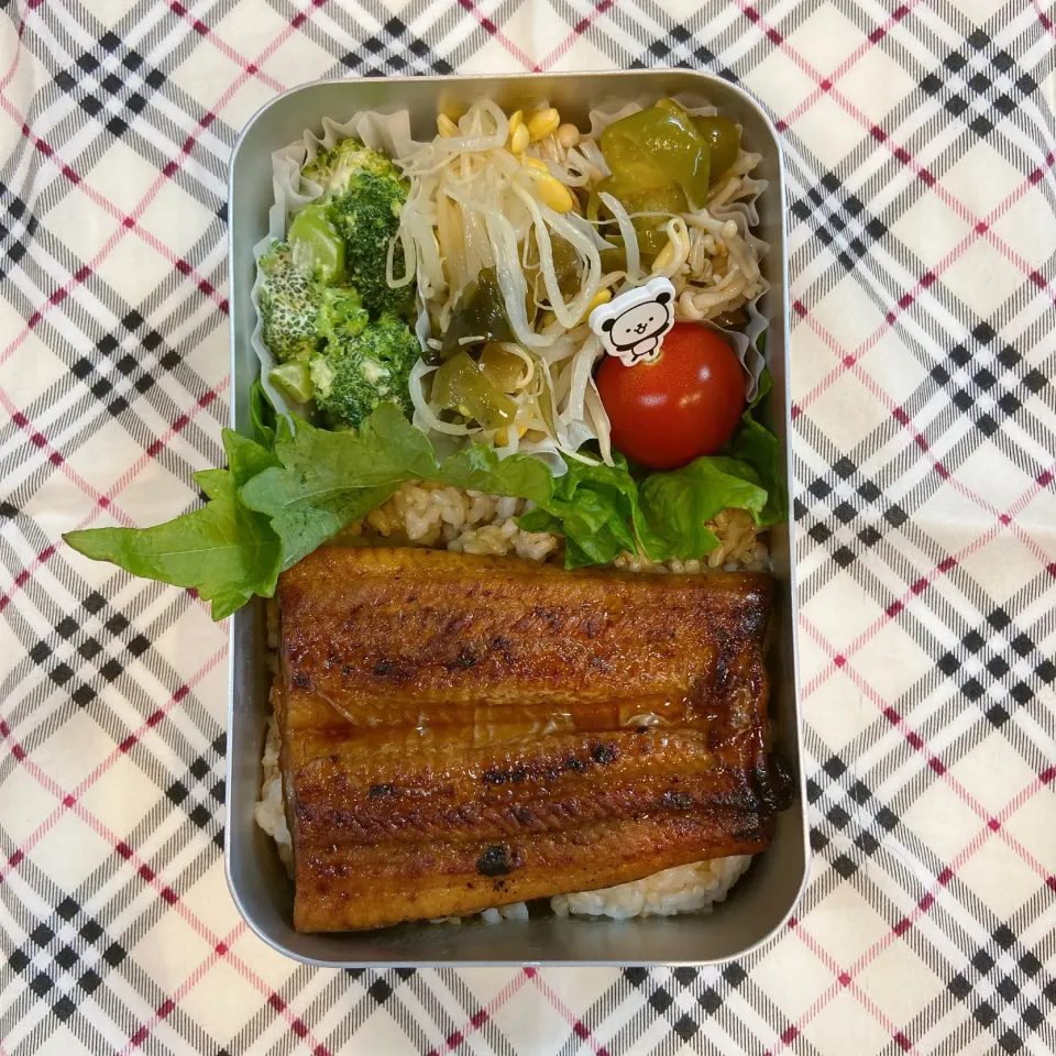 2022/06/28
鰻の蒲焼き
もやしとわかめの酢の物
ブロッコリー🥦の辛子マヨ和え
ピーマンとえのきのマリネ
ミニトマト🍅|aichanさん