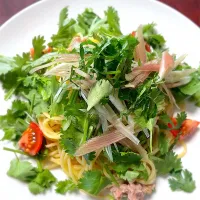 Snapdishの料理写真:香味野菜イロイロ冷製パスタ🍴🌱|lakiさん