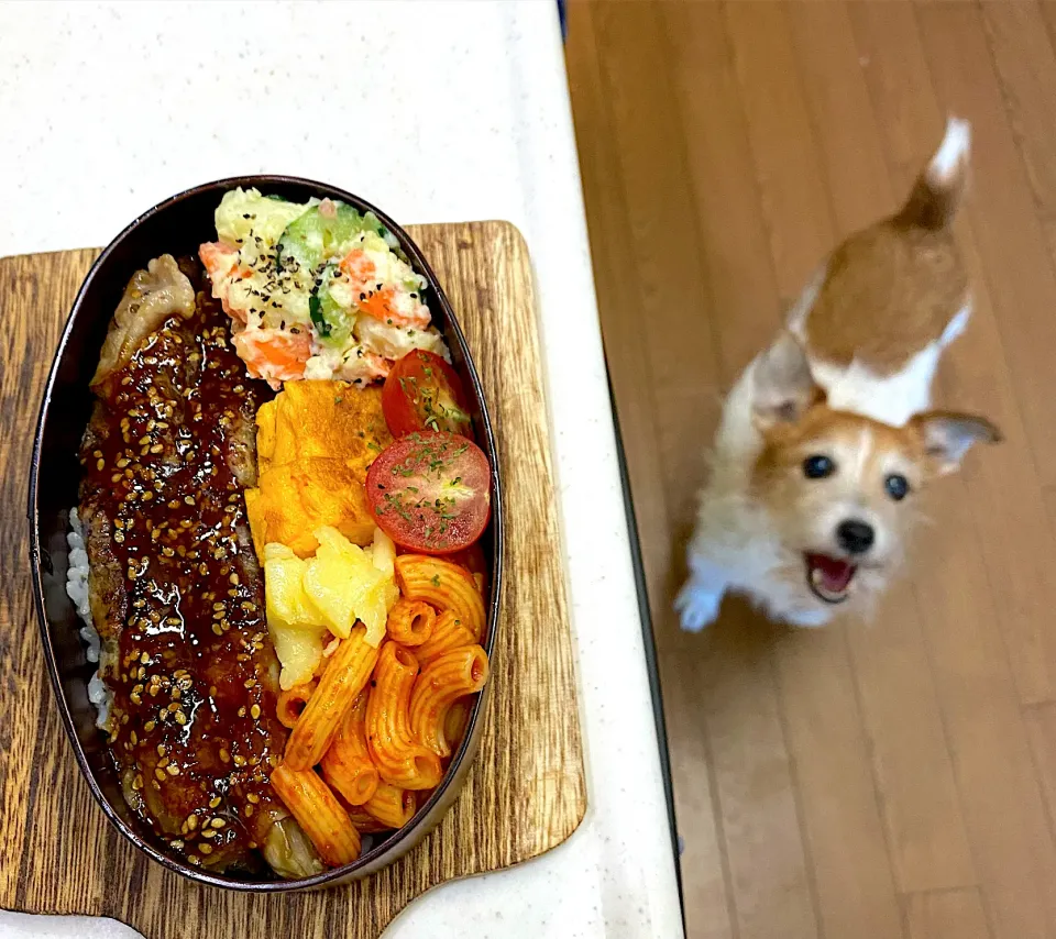 茄子の肉巻き弁当|cafe3733さん