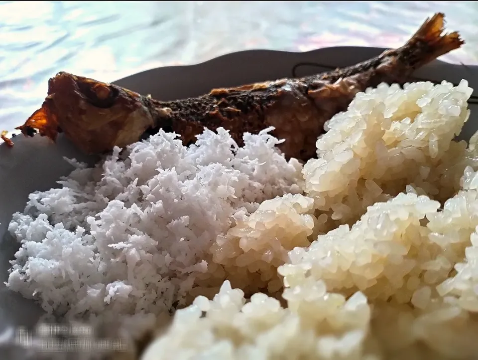 Snapdishの料理写真:Pulut Ikan Tamban Masin|nsz suhailaさん