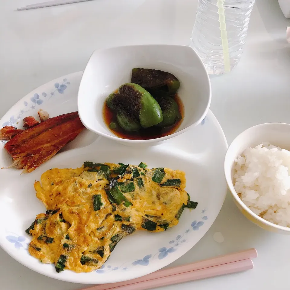 お昼ご飯|まめさん