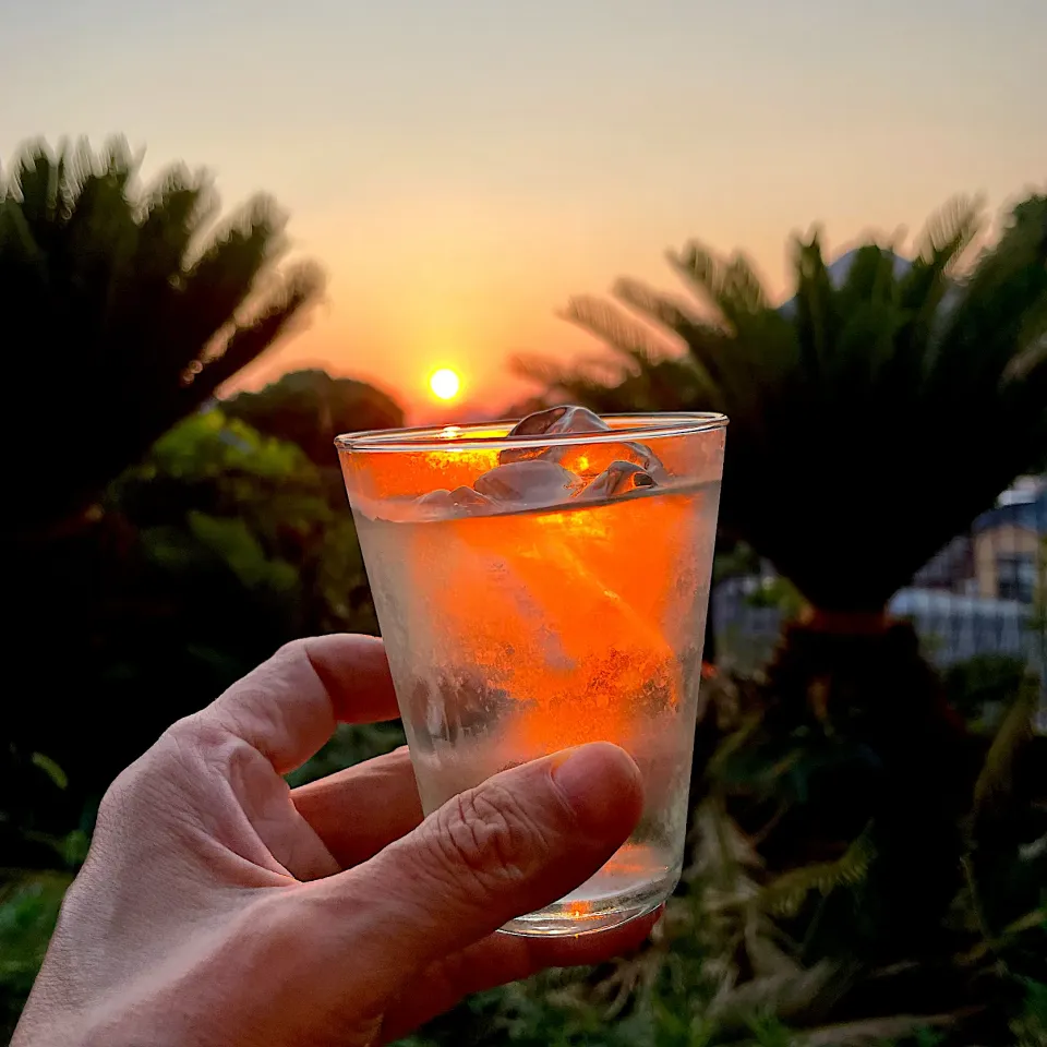 薄いグリーンの松葉ジュース濾したグラスを持って夕暮れのテラスで飲んだら赤かった🌅|美味飯さん