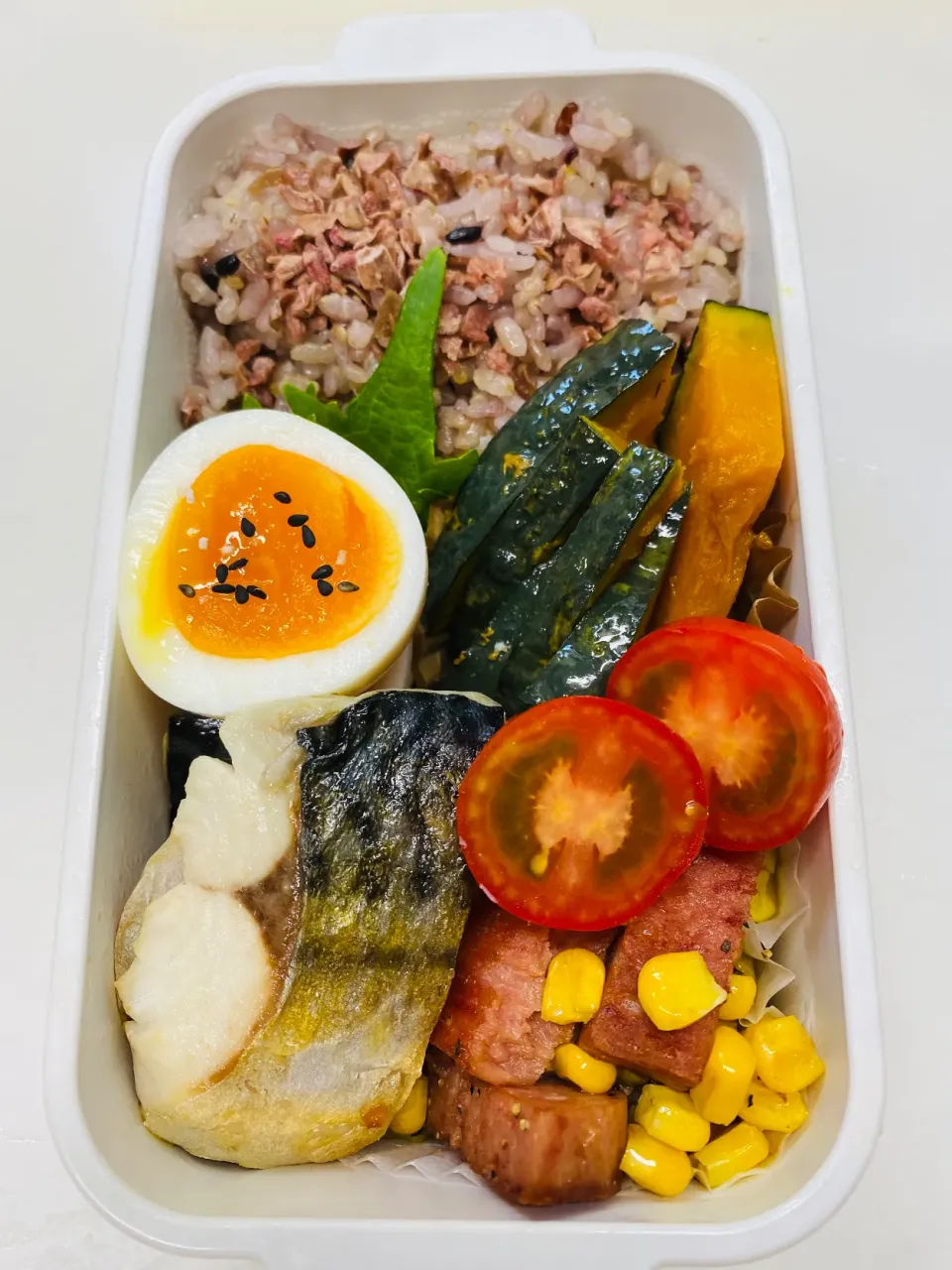 今日のお弁当|ケイトさん