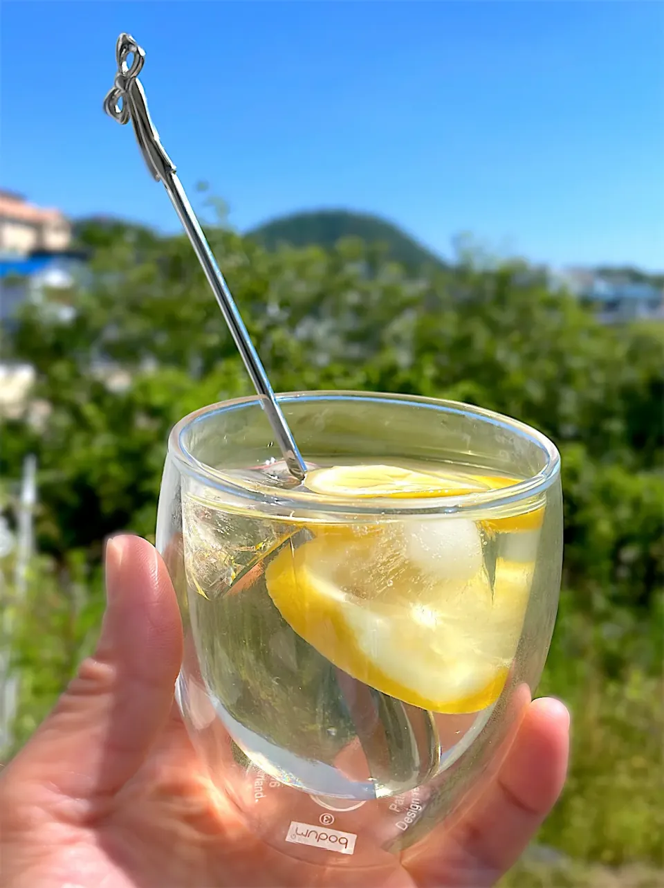 Snapdishの料理写真:Flowerさんの料理 果実酢🍋|Flowerさん