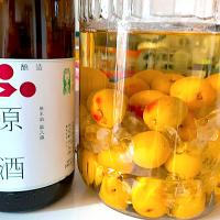 日本酒で梅酒