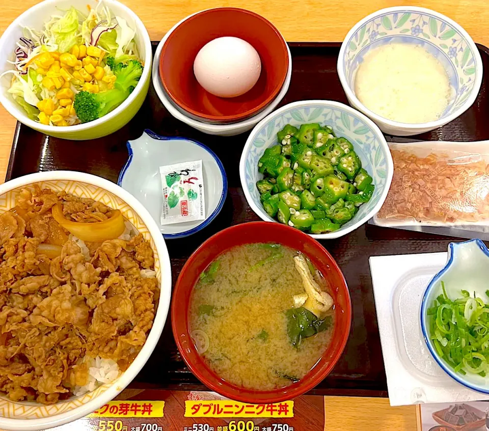 Snapdishの料理写真:牛丼スタミナセット|Food is lifeさん