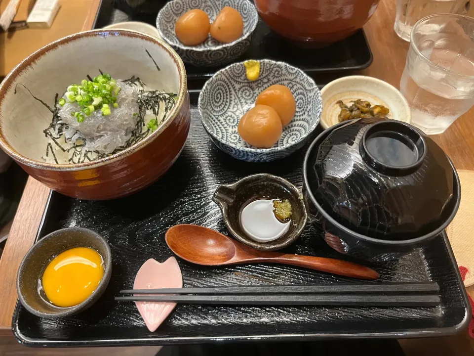 Snapdishの料理写真:生しらす丼|みぃさん