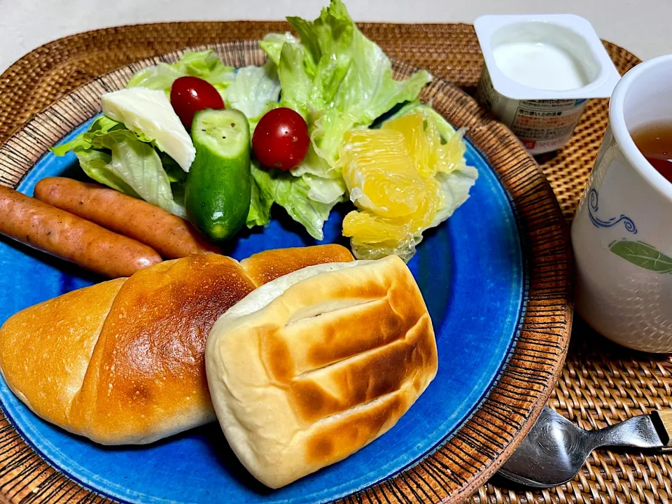 サンデーモーニング|Noriyuki Saitoさん