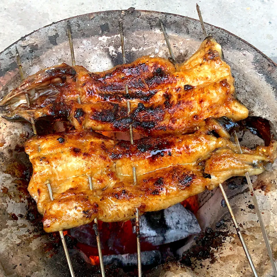 Snapdishの料理写真:昨日釣った65センチの鰻🥺|mycalさん