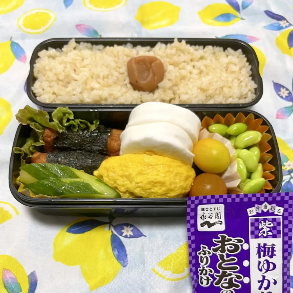 Snapdishの料理写真:娘のお弁当7/5|iguigupopさん