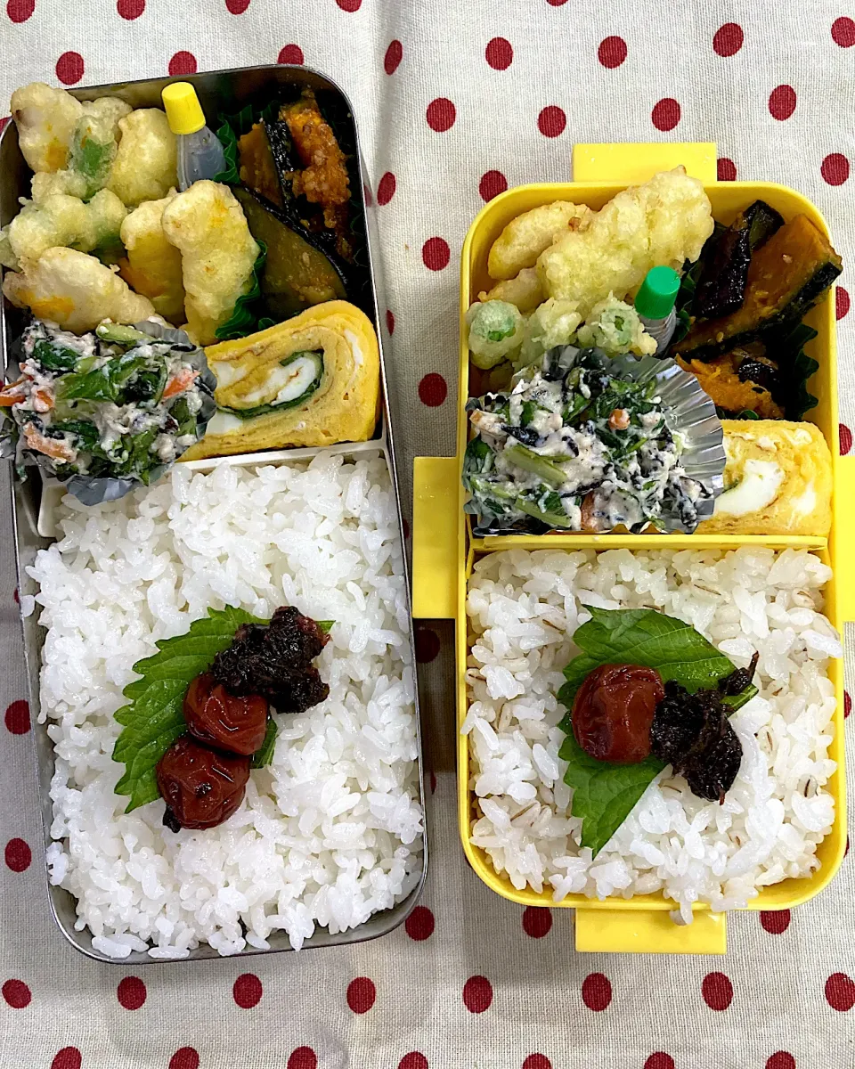 7月5日　雨台風接近 弁当🍱|sakuramochiさん