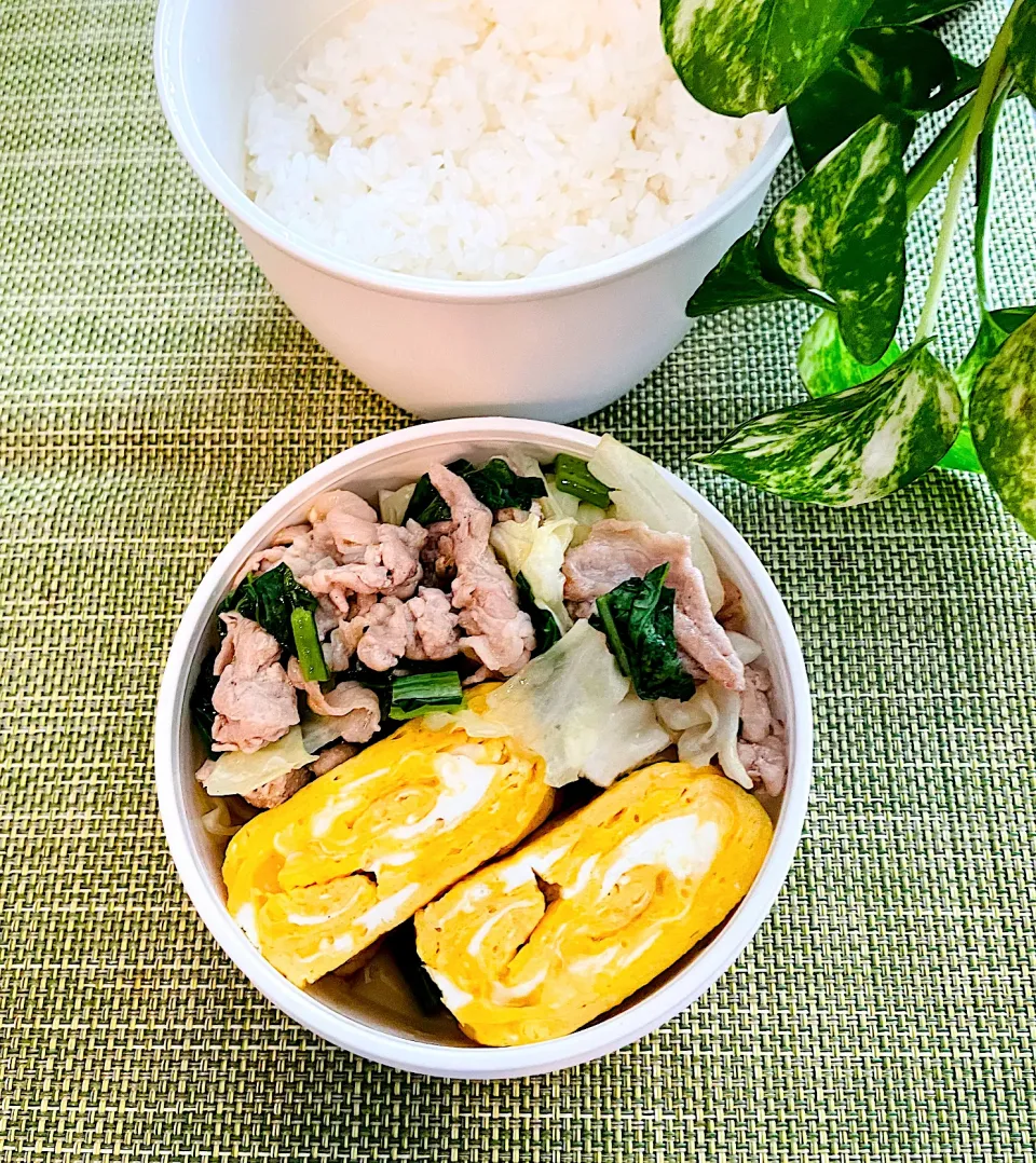 Snapdishの料理写真:出汁巻き卵と肉野菜炒めのお弁当|＊ayabianさん