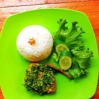 nasi ayam penyet sambal hijau|kang adeさん