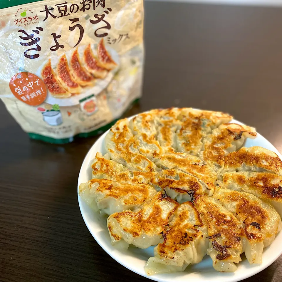 大豆のお肉の餃子🥟|ちぐあささん