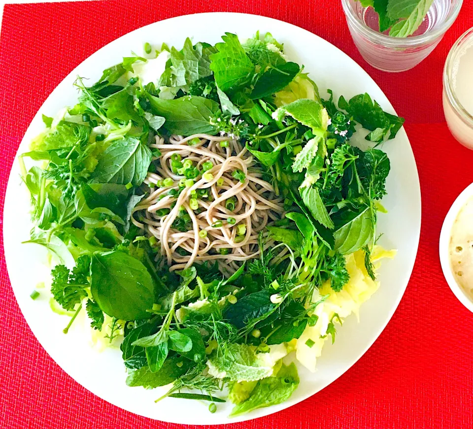 今朝の胃袋泥棒笑笑^ - ^菊芋蕎麦ハーブサラダ🥗🌿血管若返り朝ごはん笑笑💪|HAMI69さん