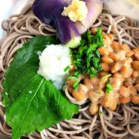 Snapdishの料理写真:プランター野菜🍆🌱で納豆蕎麦☺️