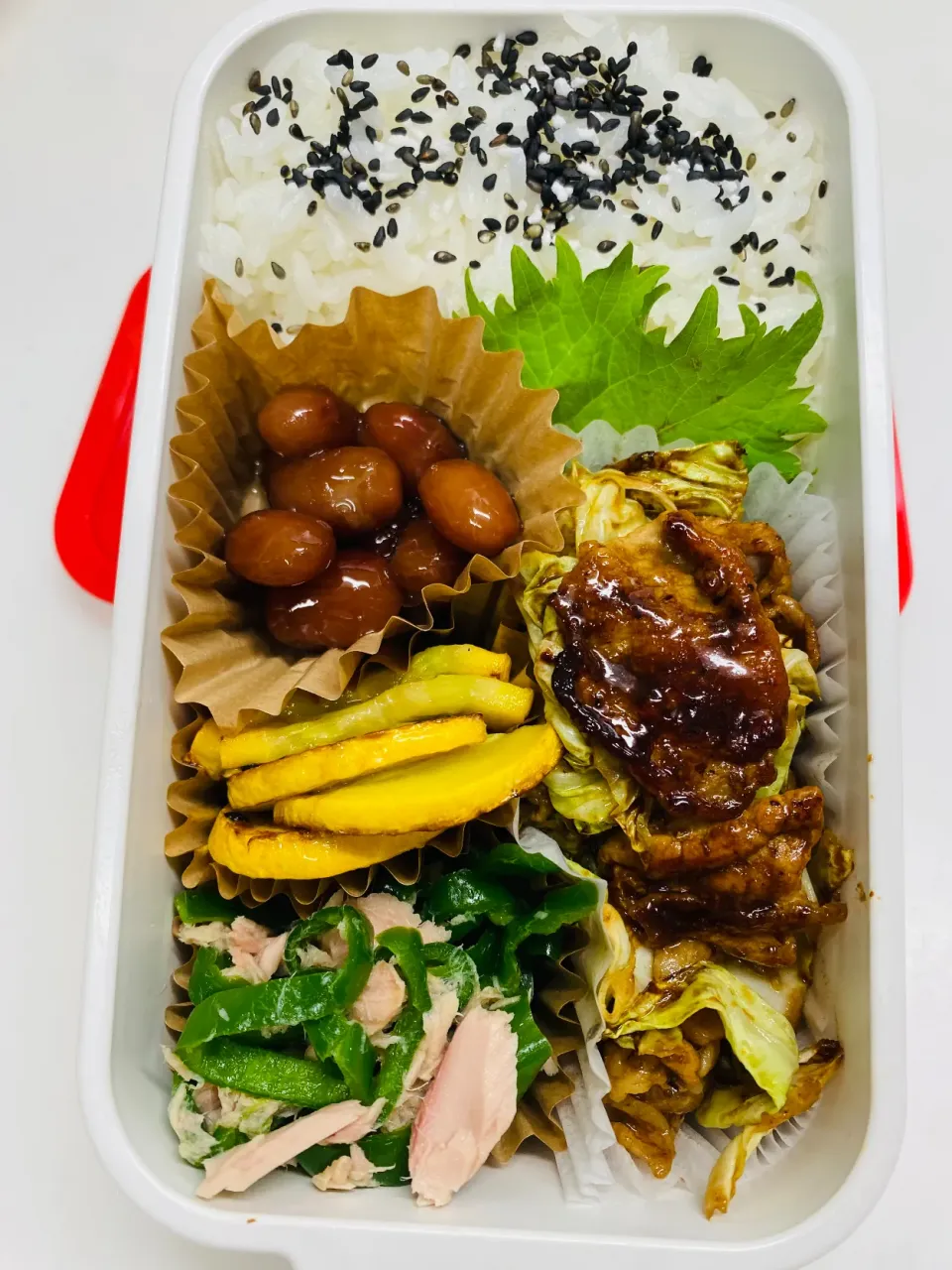 今日のお弁当|ケイトさん