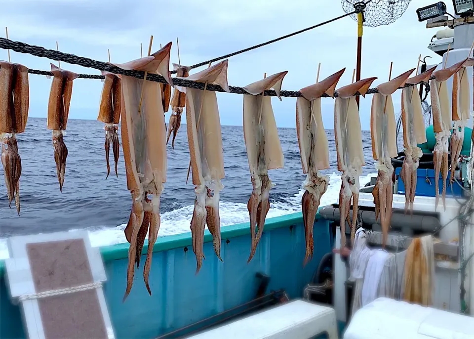 Snapdishの料理写真:イカ釣り🦑スルメイカの船上干し|9421beruさん