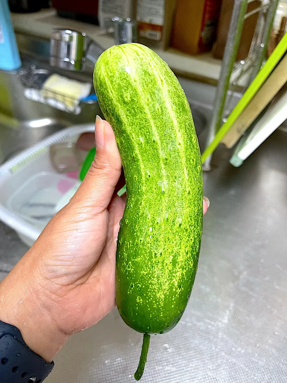 Indonesian cucumber|yeni kartikasariさん