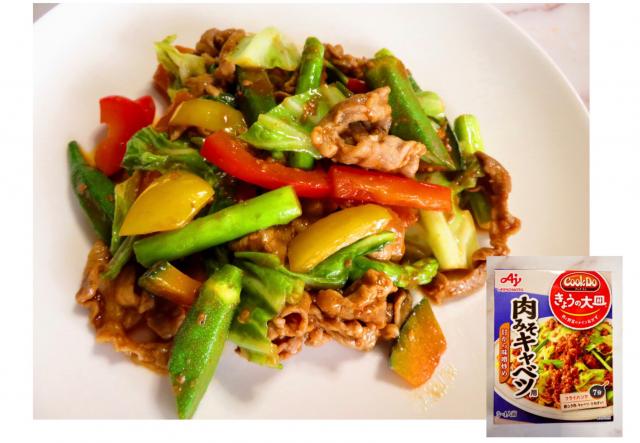 クックドゥ今日の大皿 肉みそキャベツ用で 肉野菜炒め/Yasuo Watanabe
