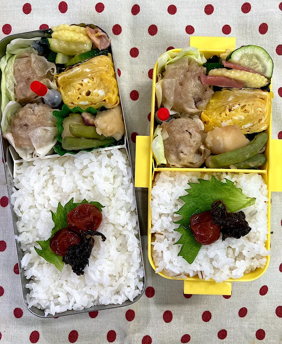 Snapdishの料理写真:7月11日 週の始まり弁当🍱|sakuramochiさん