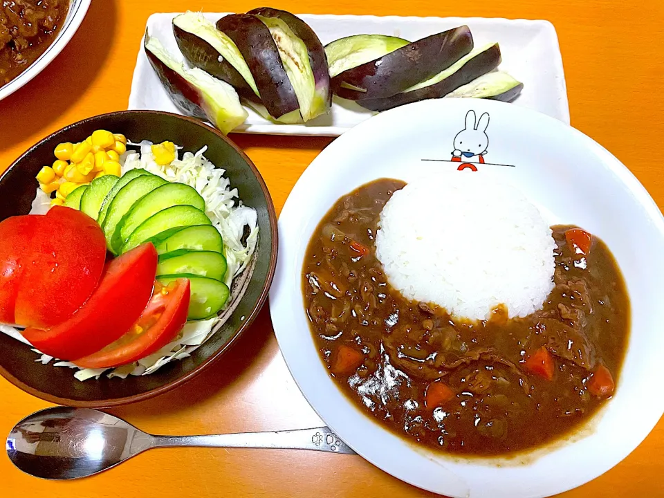 Snapdishの料理写真:ハッシュドビーフ🌟水茄子のお漬物🌟サラダ|まり＊さん