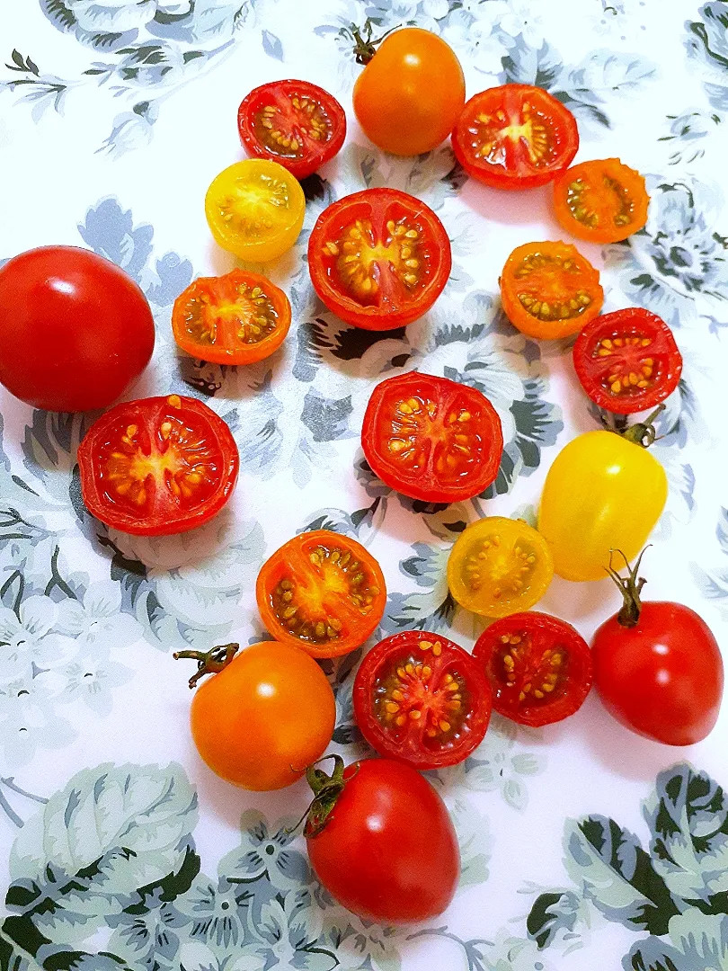 Snapdishの料理写真:@きなこさんの料理 🔷☀️天日干し🍅トマト🔷|@きなこさん