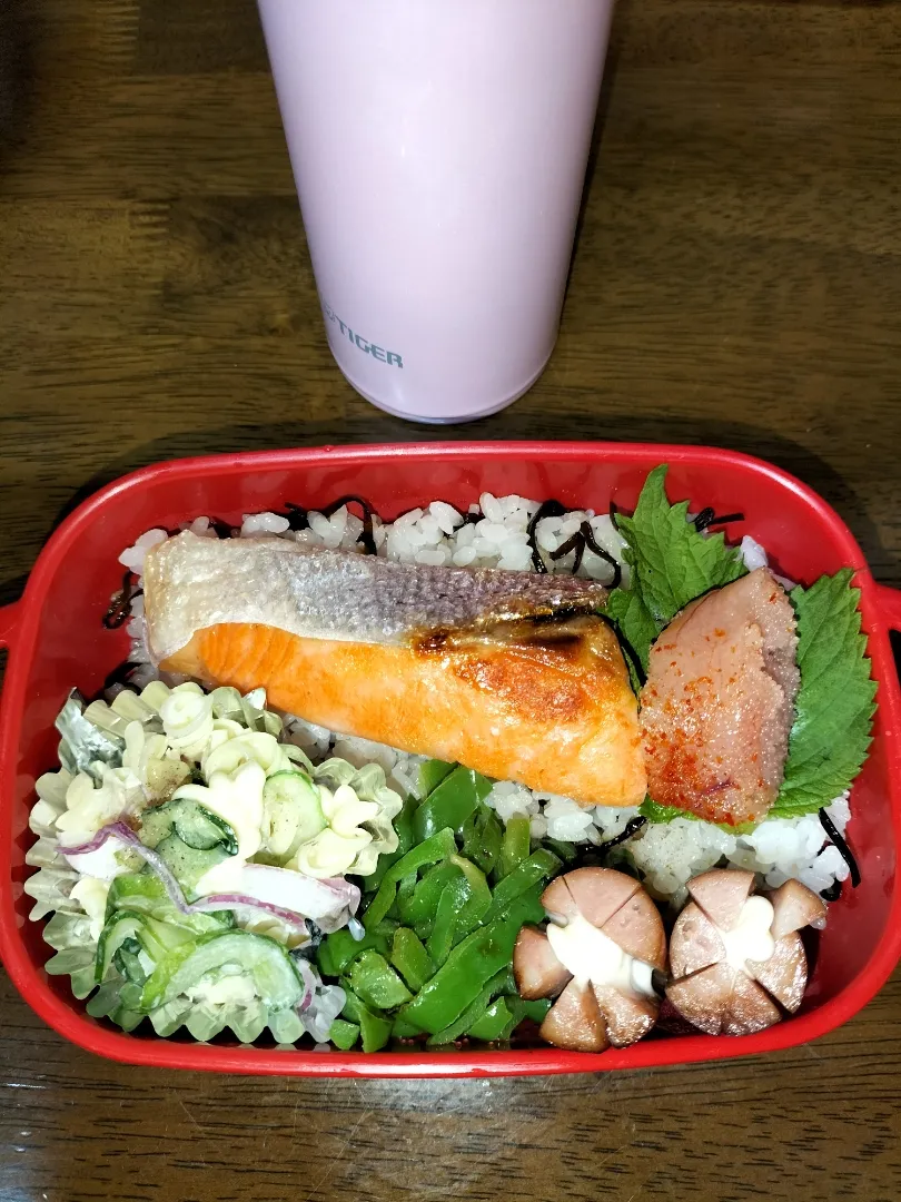 私弁当🍱
　やっぱり鮭弁当
塩こんぶご飯😄|miimiさん