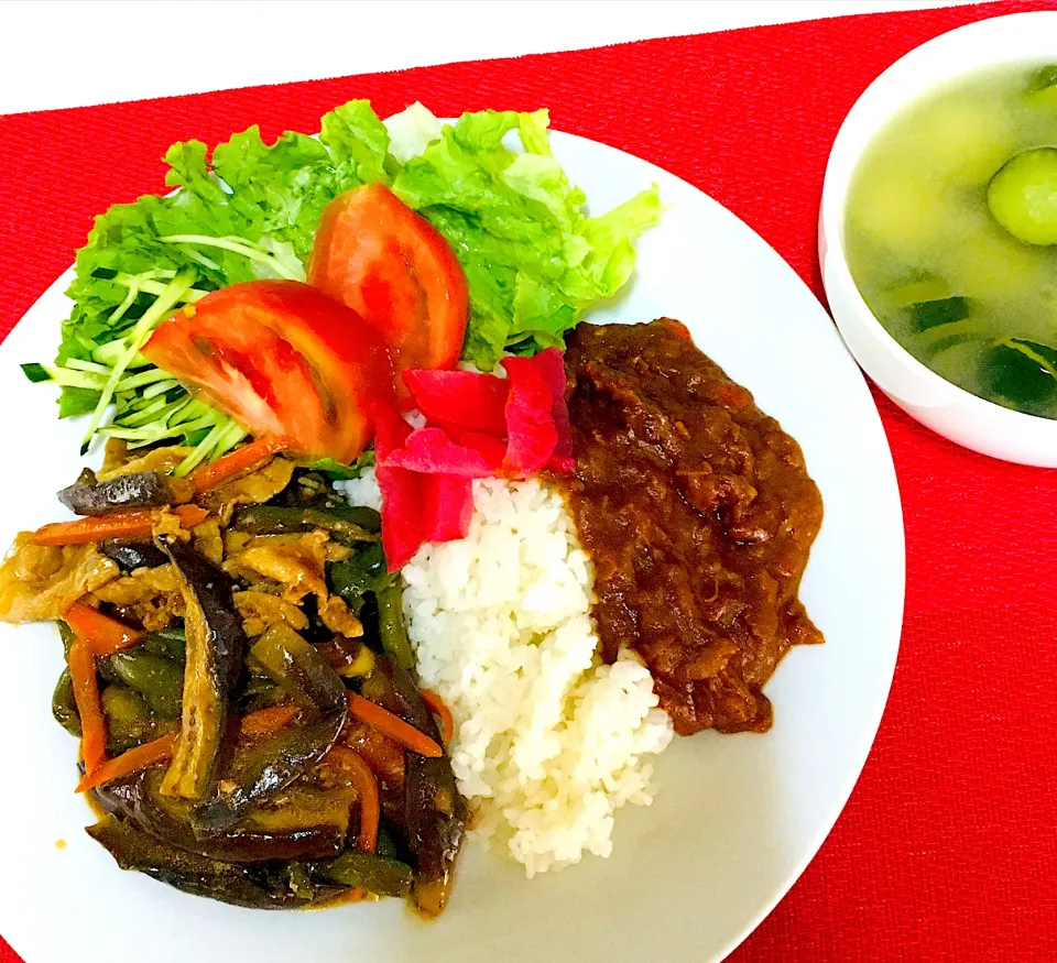 スタミナ麻婆茄子とスパイスカレー🍛💪|HAMI69さん