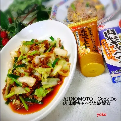 「「Cook Do® きょうの大皿®」肉みそキャベツ用」を使ってみたSnapdishの料理・レシピ写真:AJINOMOTO　肉味噌キャベツと炒飯です。