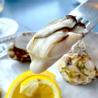 厚岸産生牡蠣　マルエモン