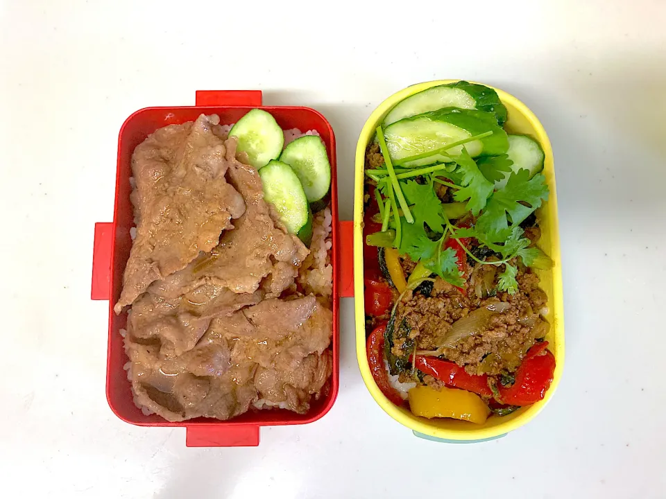 Snapdishの料理写真:高校生になった次男くんへ　豚丼弁当　および私のガパオ弁当|晴れ時々弁当さん