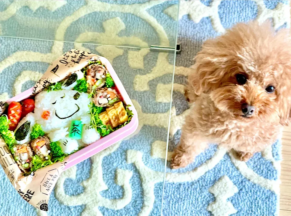 🍵Gluten Free Snoopy Bento🍵|The Reinhartsさん