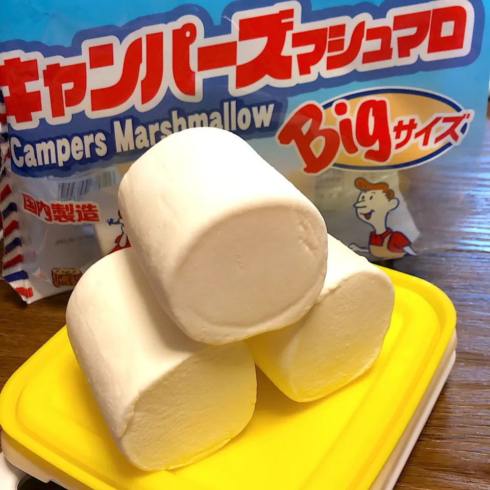 かわいすぎる😂夢のBig marshmallow|futuregirlさん