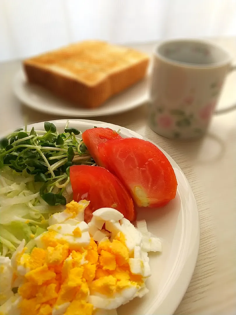 ☆今日の朝ごはん☆　サラダとトースト|hamamaさん