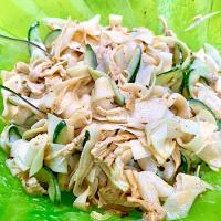Shredded Chicken and Daikon Salad with Creamy yet Spicy Chinese Douchi Chili Oil Dressing
