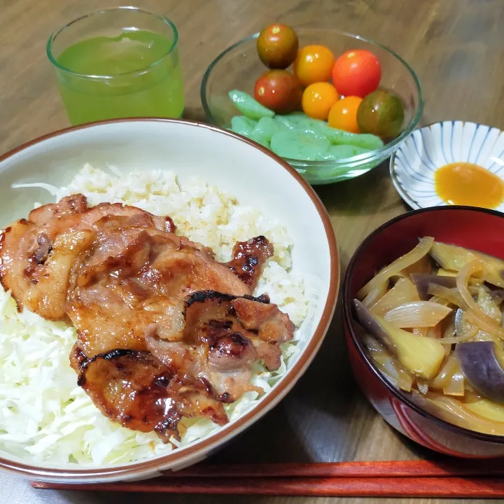 Snapdishの料理写真:7/15夜、極力ヘルシーに豚丼 537kcal|ぴらさん