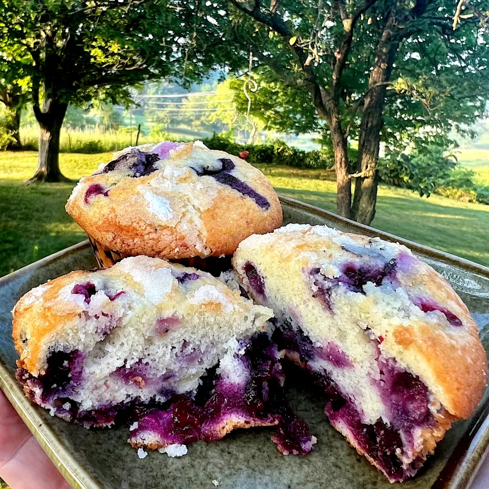 #blueberry #muffin|Dean M Rogersさん