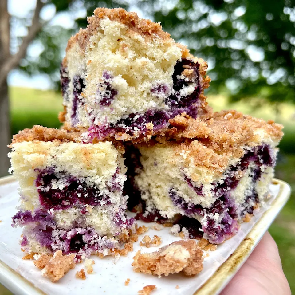 Snapdishの料理写真:Blueberry coffee cake.|Dean M Rogersさん