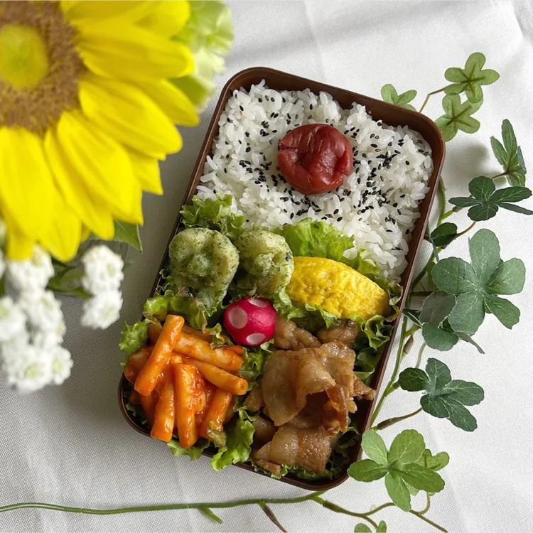 7/19❤︎主人のお弁当🌱|Makinsさん