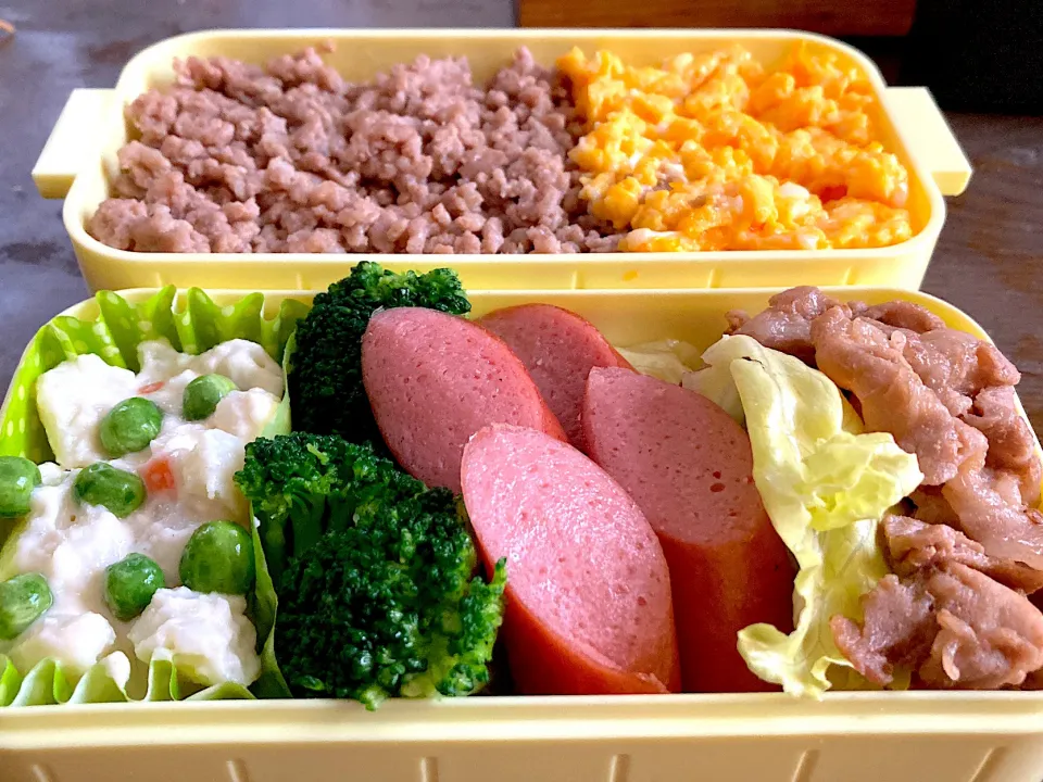 二食丼弁当|料理嫌いを直したいさん