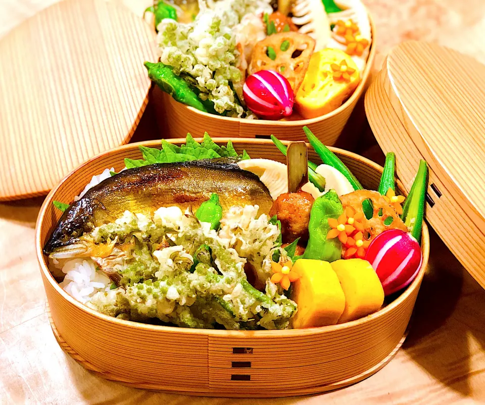 鮎のひらき と ウドの花の天ぷら弁当|1480_kojiさん