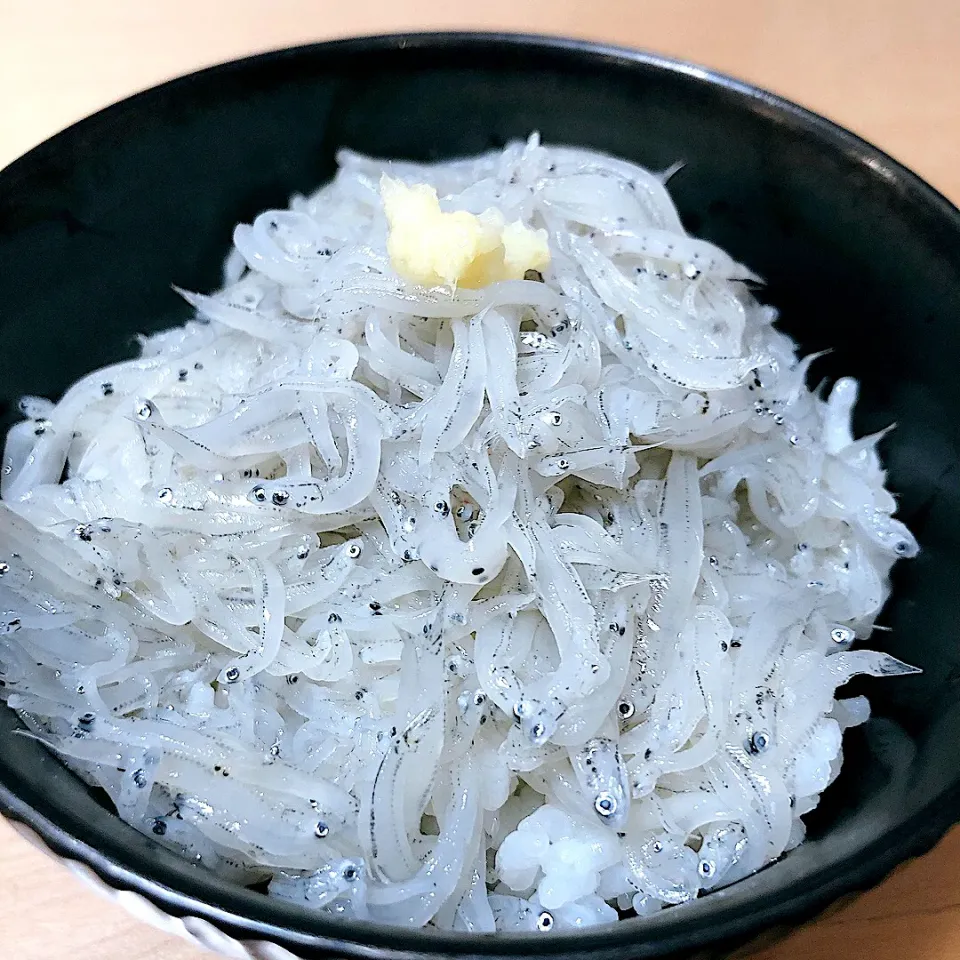 愛媛県産生しらす丼|ももちさん