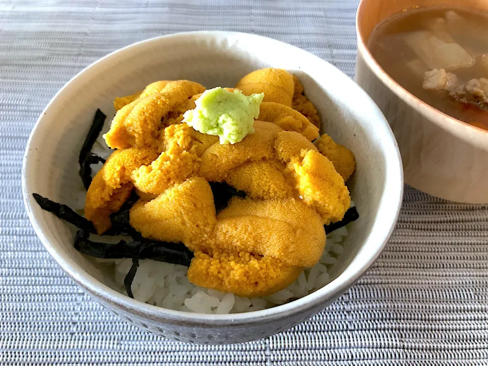 ウニ丼|おさかなさん