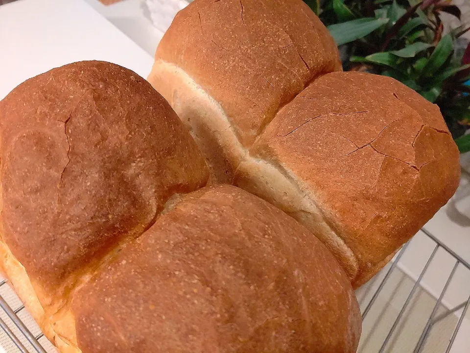 すと☺︎*☻さんの料理 ハード食パン|まゆみさん