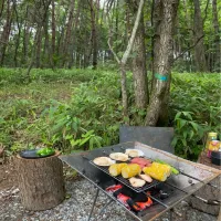 Snapdishの料理写真:BBQ|aireimamaさん