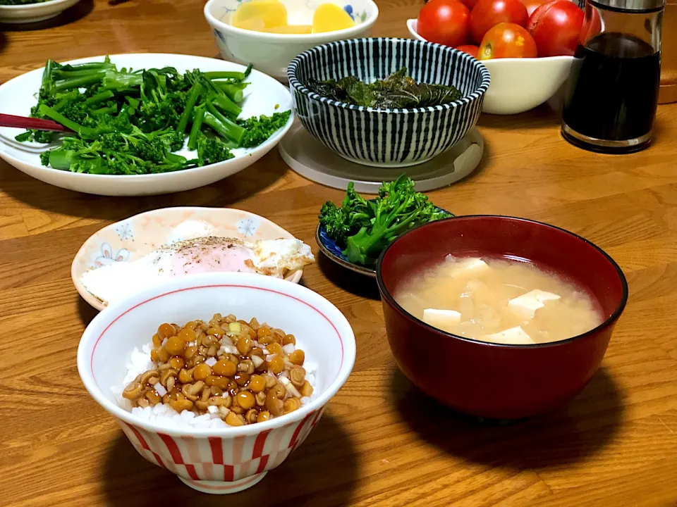 なめこ農家の朝ごはん|くまちゃんなめこさん