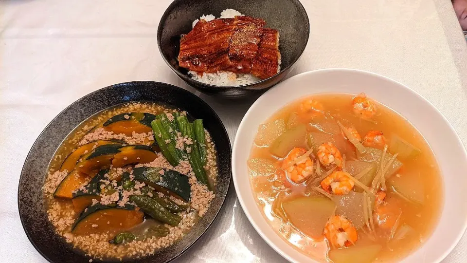 かぼちゃとオクラのそぼろあん
とうがんとえびのしょうが煮
鰻丼

７月２３日|風森すももさん