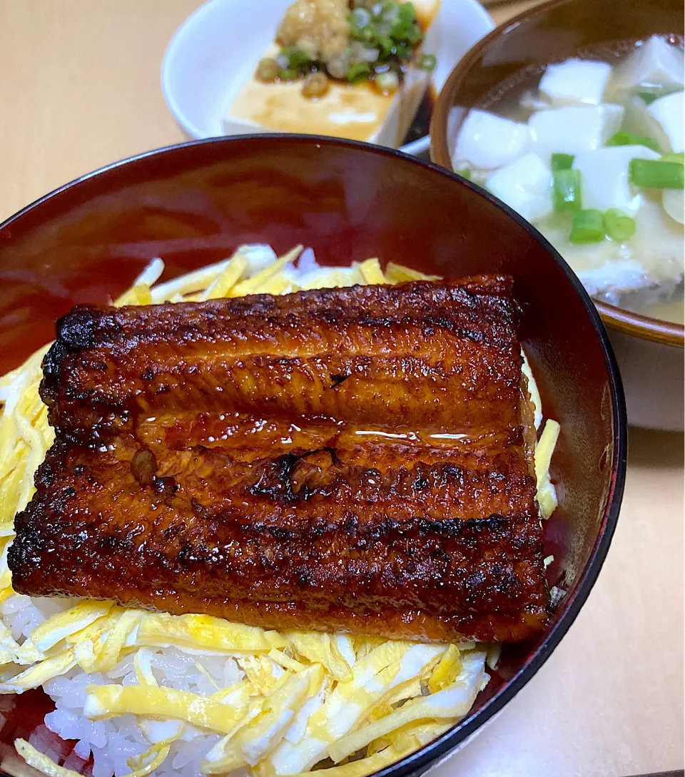 単身赴任中の男飯(鰻丼)|おおもりの星さん