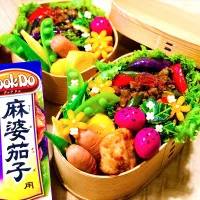 Snapdishの料理写真:麻婆茄子丼弁当